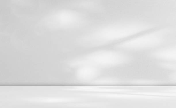 istock Background White Shadow Light Plant Room 3d Counter Display Sunlight Sun on Kitchen Bar Wall Podium Product Bg Elegant Abstract Mockup Space Backdrop Platform Gray Workspace Grey Empty Scene Desk. 1856769632