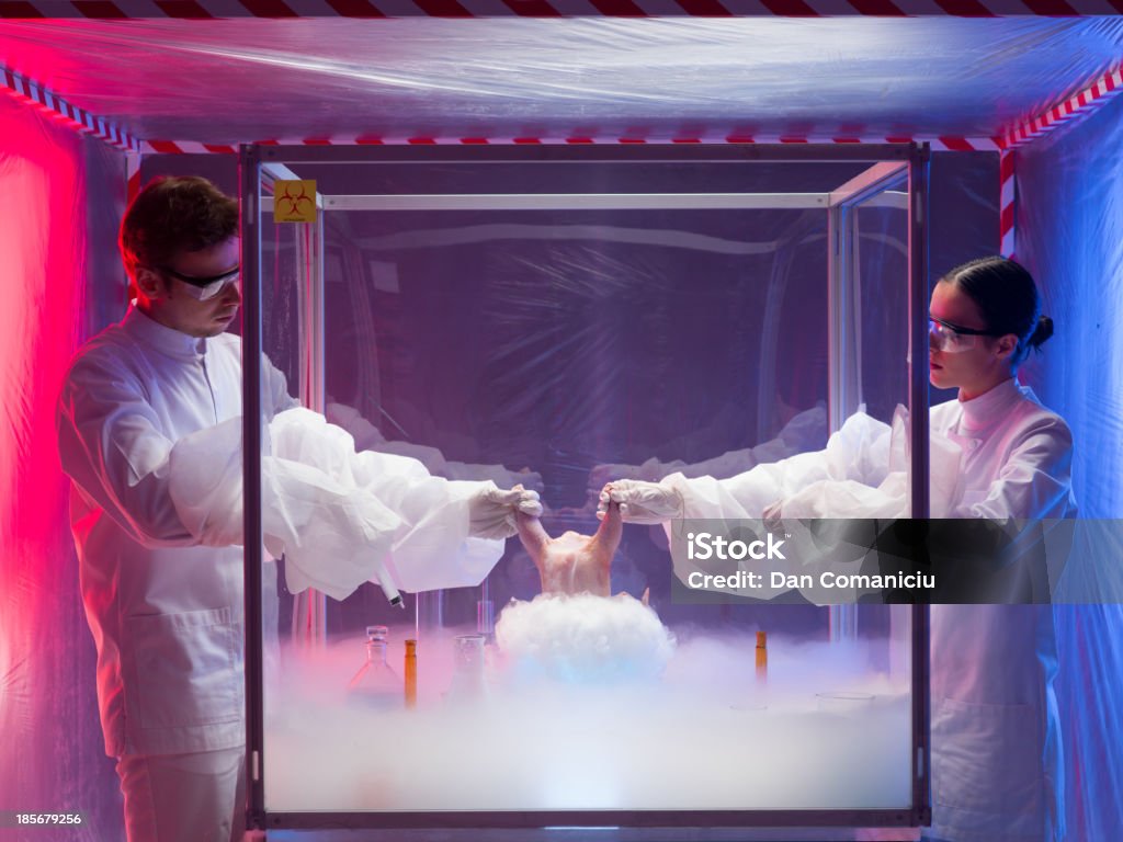 Experimentar a carne crua na câmara estéril - Royalty-free Adulto Foto de stock