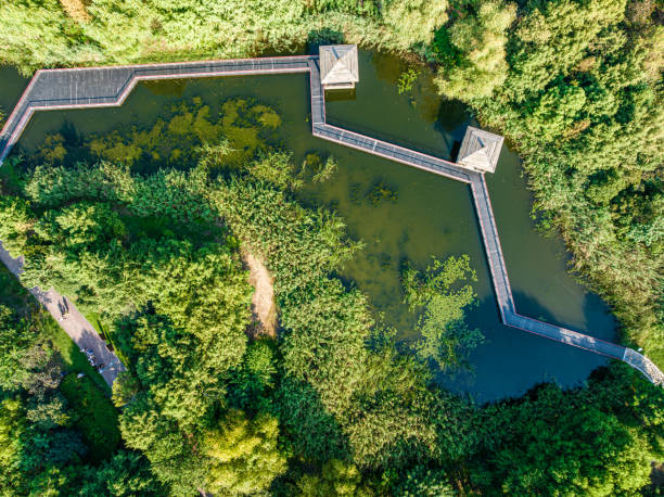 istock Wetland parks and farmland 1856803193
