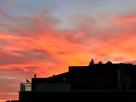Dramatic red and orange sunset sky background with shadow of an apartment building roof with crows
