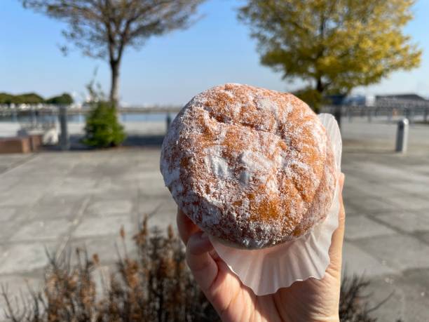 istock Sweet red bean donut with sugar 1856818781