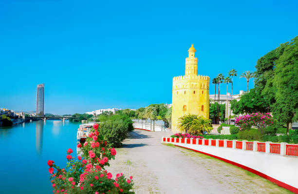 스페인의 세비야 도시 풍경 - seville torre del oro sevilla spain 뉴스 사진 이미지