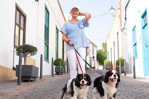 Smiling senior woman with hat walking in the street with her two cavalier king Charles spaniel dogs. Attractive mature lady outdoors with her best animal friends