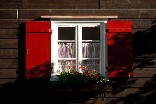 beautiful old window - close up