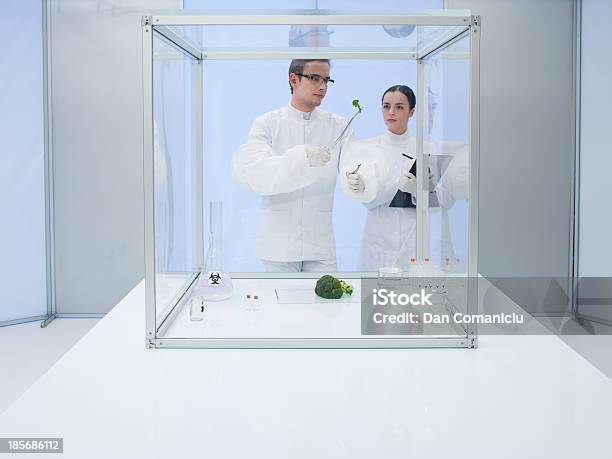 Sperimentazione Su Verdure In Laboratorio - Fotografie stock e altre immagini di Adulto - Adulto, Ambientazione interna, Batterio