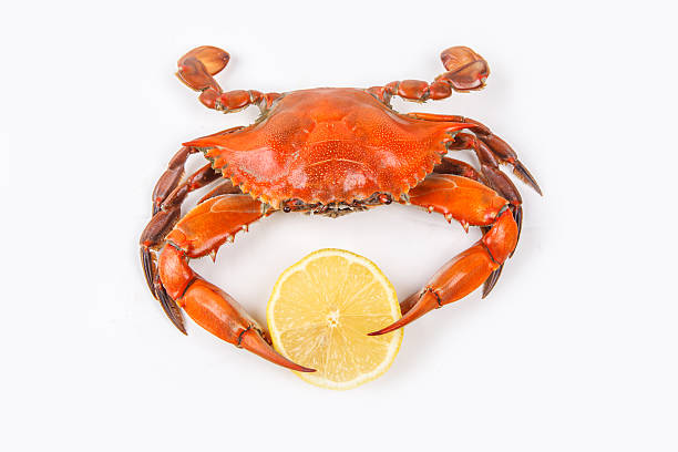 istock Steamed Blue Crab on white background 185686226