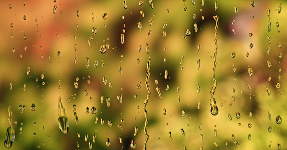 Close-up of water drops falling on glass window with autumn trees seen in background.