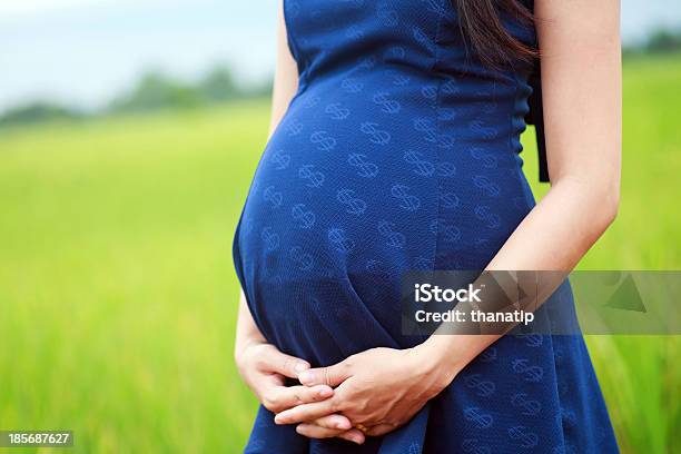 Pregnant Woman In A Blue Dress Stock Photo - Download Image Now - Hands On Stomach, One Woman Only, Pregnant