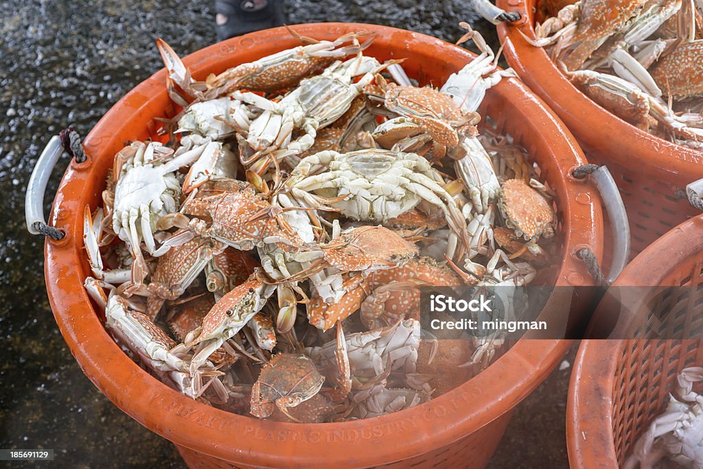 Steamed crab Blue Stock Photo