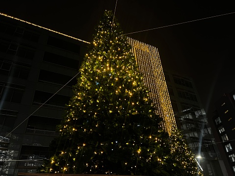 Christmas lights up the squares of Milano. Lendlease will ramp up the Christmas atmosphere in Piazza Modotti with its Santa Giulia, Milan, Italy