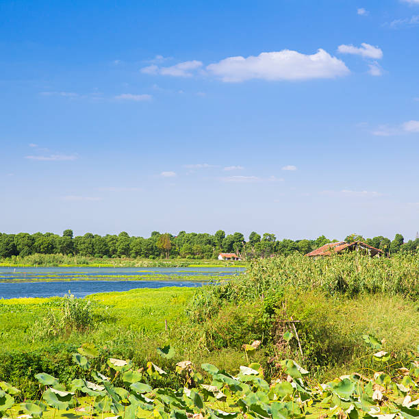 istock Landscape of Rural Shanghai 185693188