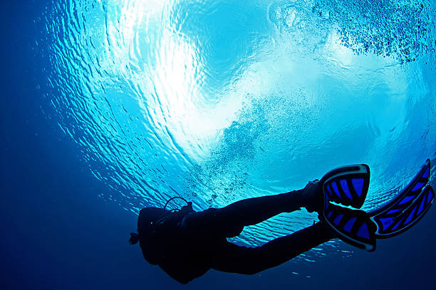istock scuba diver in the blue water 185694728