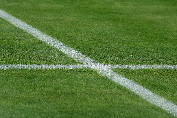 istock Soccer field with white lines on grass 185694976