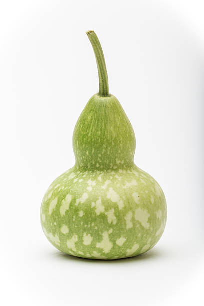 fresh birdhouse gourd stock photo