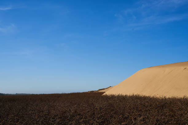 wind whipping sand from the sandy desert dunes with no people in sight