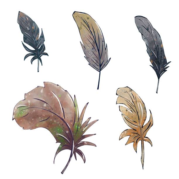 istock Set of realistic watercolor fluffy feather. Hand drawing vintage illustration, isolated on white background. Design element for wedding invitation in boho style 1856964780