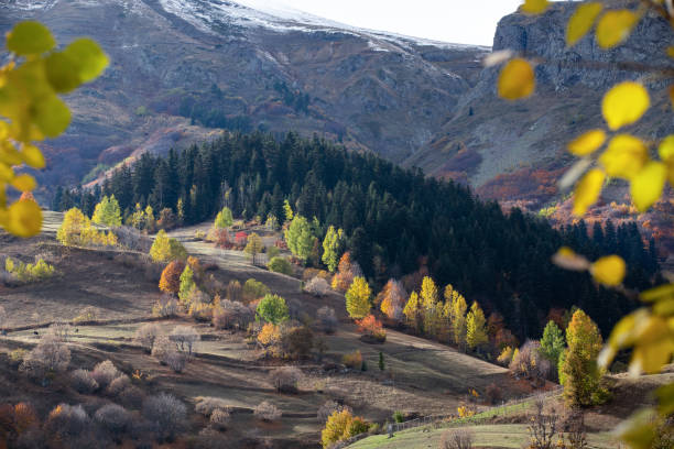 istock Autumn Colors in Nature 1856966929