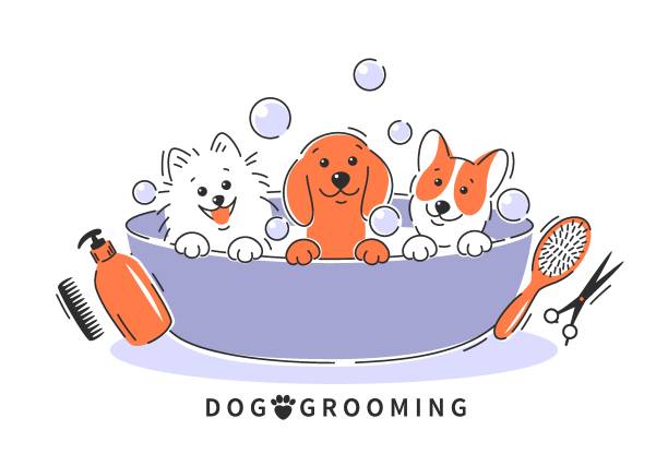 Grooming 11 new Dog grooming. Cartoon dogs taking a bath full of soapy suds. Animal hair grooming, haircuts, bathing, hygiene. Vector illustration pomeranian dog taking a bath stock illustrations