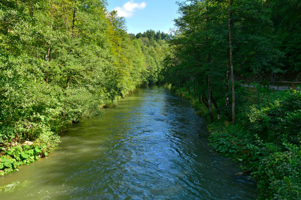 istock Dobra River at Kamacnik Kanjon, Croatia 2 1856970694
