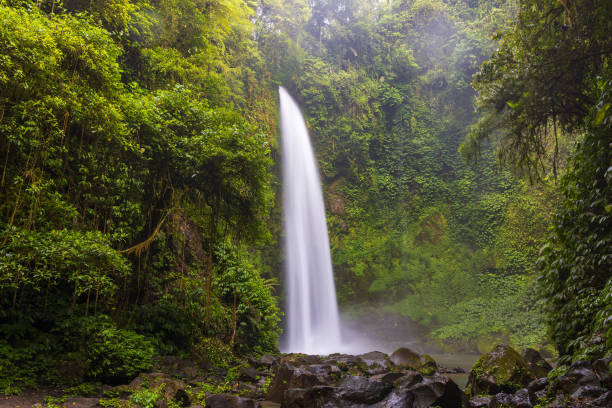 istock Nungnung waterfall in lush tropical forest, Bali, Indonesia 1856978463