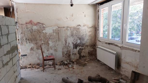 House building and renovation photo.