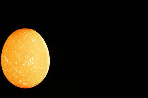 Pores in the shell of a chicken egg, illuminated from the inside on black background. This is where pathogenic bacteria such as Salmonella enter. Space for text