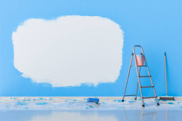 Home Renovation Concept with Painted Wall and Ladder