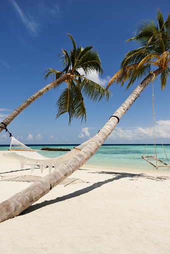 Hammock and swing hanging on palm trees during summer day on the beach.