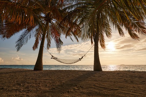 Hammock hanging between two palm trees on the beach at sunset.