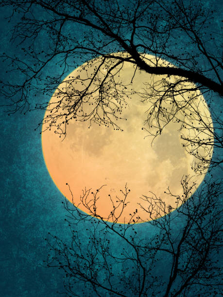 istock Full Moon with Tree Silhouettes and Night Sky 1857092688