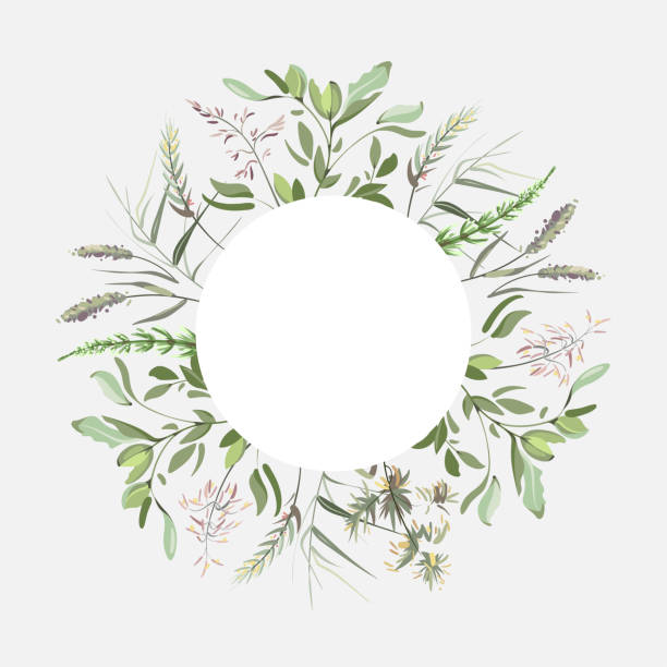 istock Colorful hand drawn sketch. Set of plants on a light background. Medical herb and spice. 1857096884