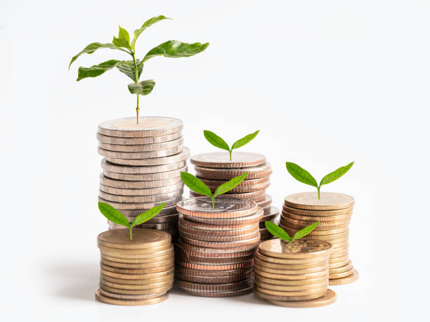 istock Tree plumule leaf on save money stack coins, Business finance saving banking investment concept. 1857098469