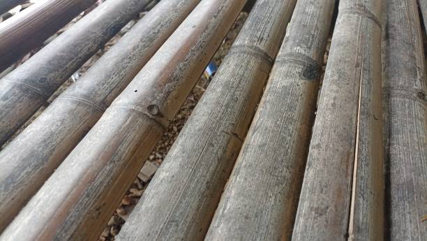 istock pieces of old bamboo that are made and arranged into seats 1857098481