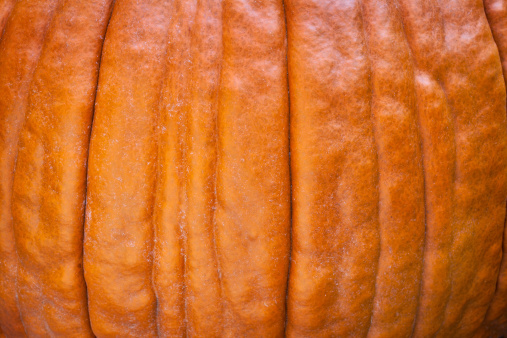 orange pumpkin skin background and texture