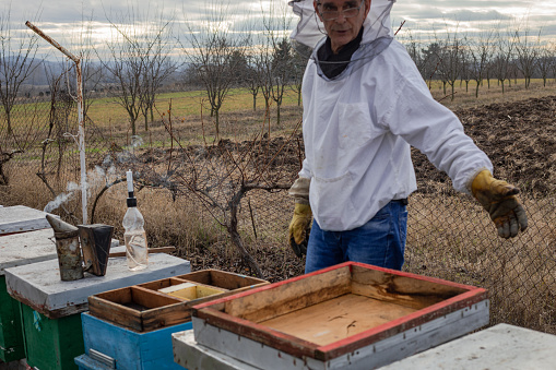 A beekeeper in an apiary, varroa treatment of bees