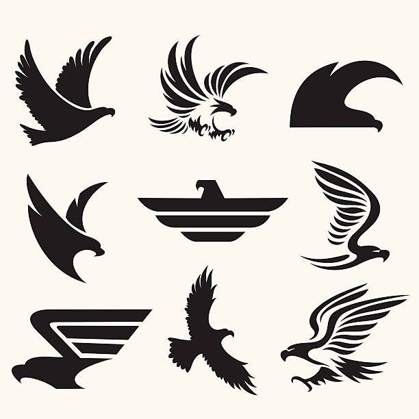 ilustraciones, imágenes clip art, dibujos animados e iconos de stock de eagle iconos - the eagle