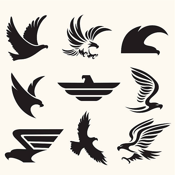 Eagle icons Set of 9 ealge icons in black color eagle bird stock illustrations