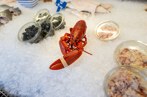 A close-up shot of a lobster and other various seafood items on ice in a fishery. The fishery is located in Amble, Northumberland.