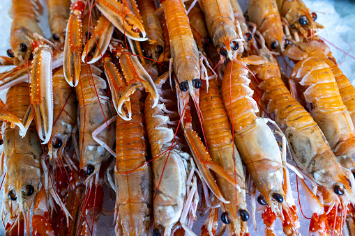 A close-up shot of langoustines on ice in a fishery. The fishery is located in Amble, Northumberland.
