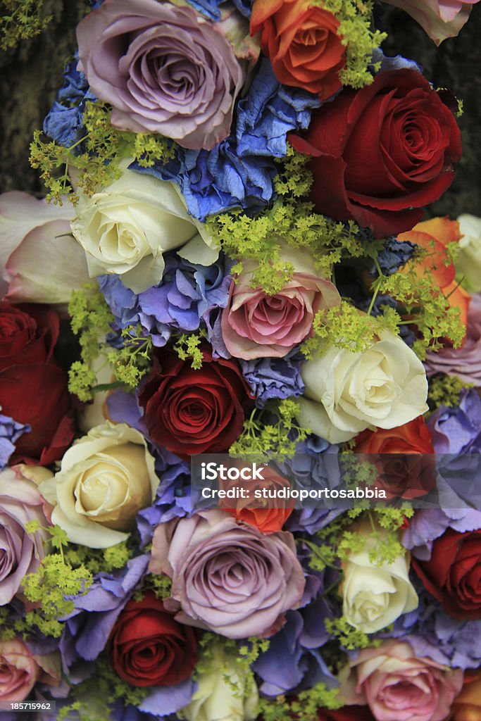 Hortensia arreglo de boda y rosas - Foto de stock de Amor - Sentimiento libre de derechos