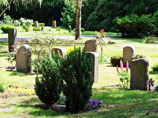 istock Cemetery in Summer with blooming flowers 1857166012