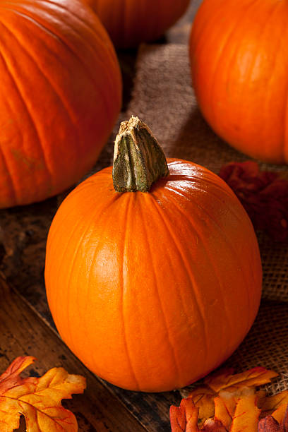 istock Organic Orange Pie Pumpkins for Halloween 185717689