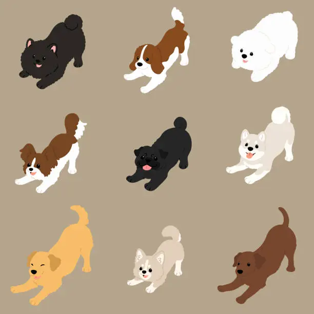 Vector illustration of Simple and cute flat colored illustration of dogs being playful