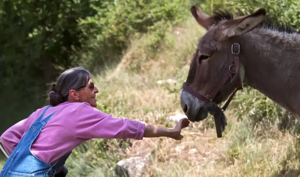 Photo of Smiling woman patting a donkey