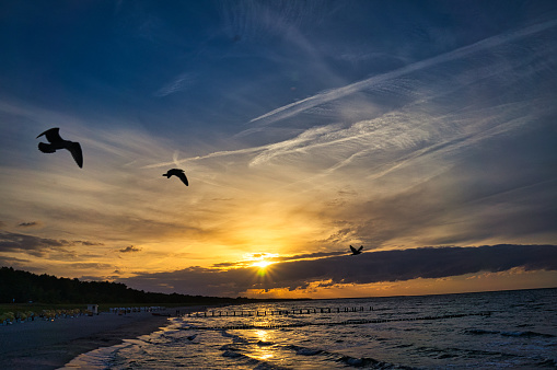 Pass-a-Grille Beach, Florida near sunset with gentle water and clouds as two birds soar across sky
