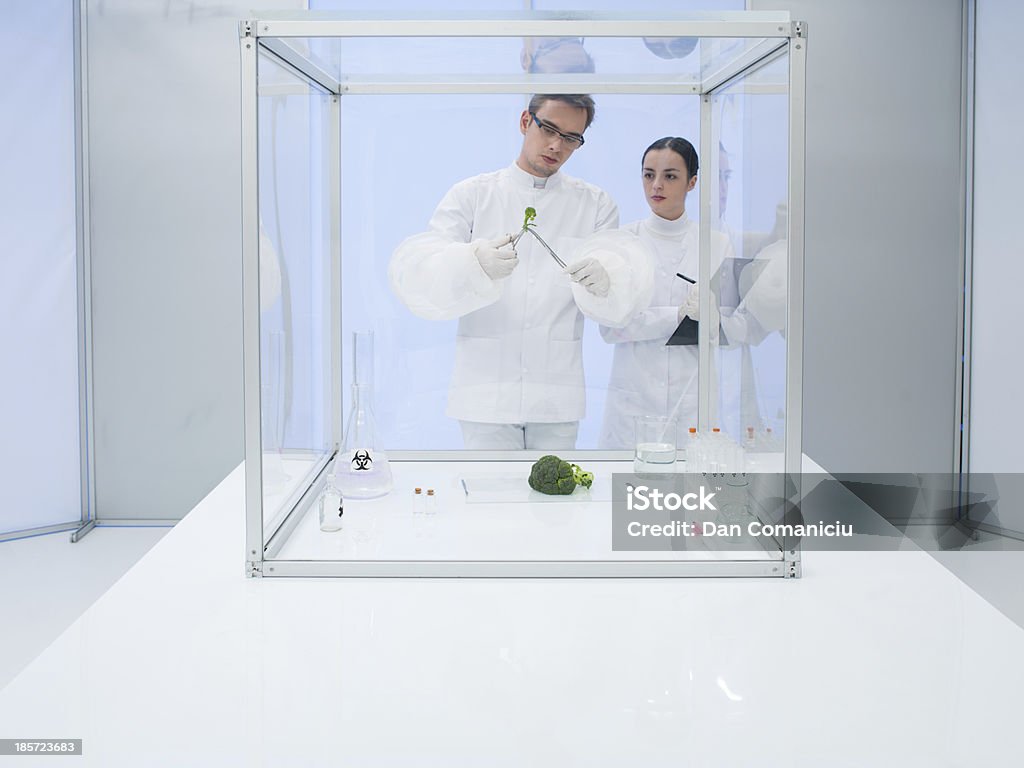 Sperimentazione su verdure in laboratorio - Foto stock royalty-free di Adulto