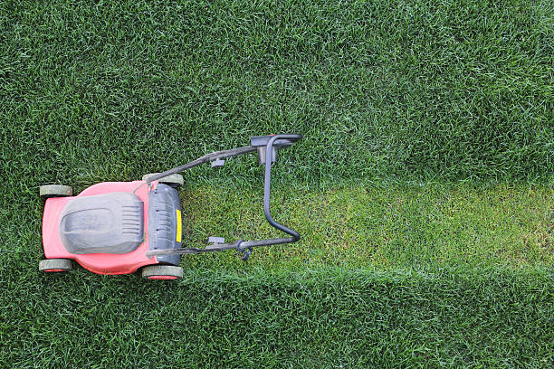 istock Grass cutter at the lawn 185723984