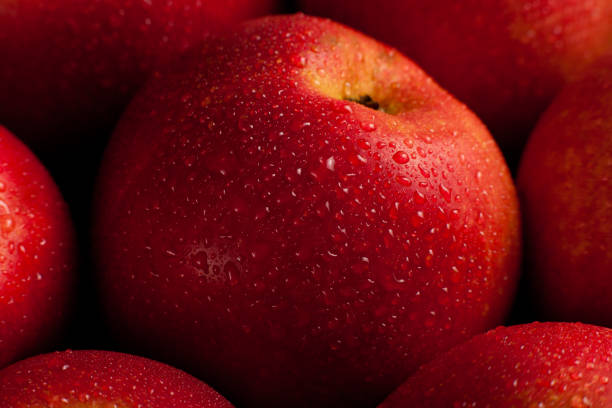 istock Red apples in water drops close-up, top vew 1857240413