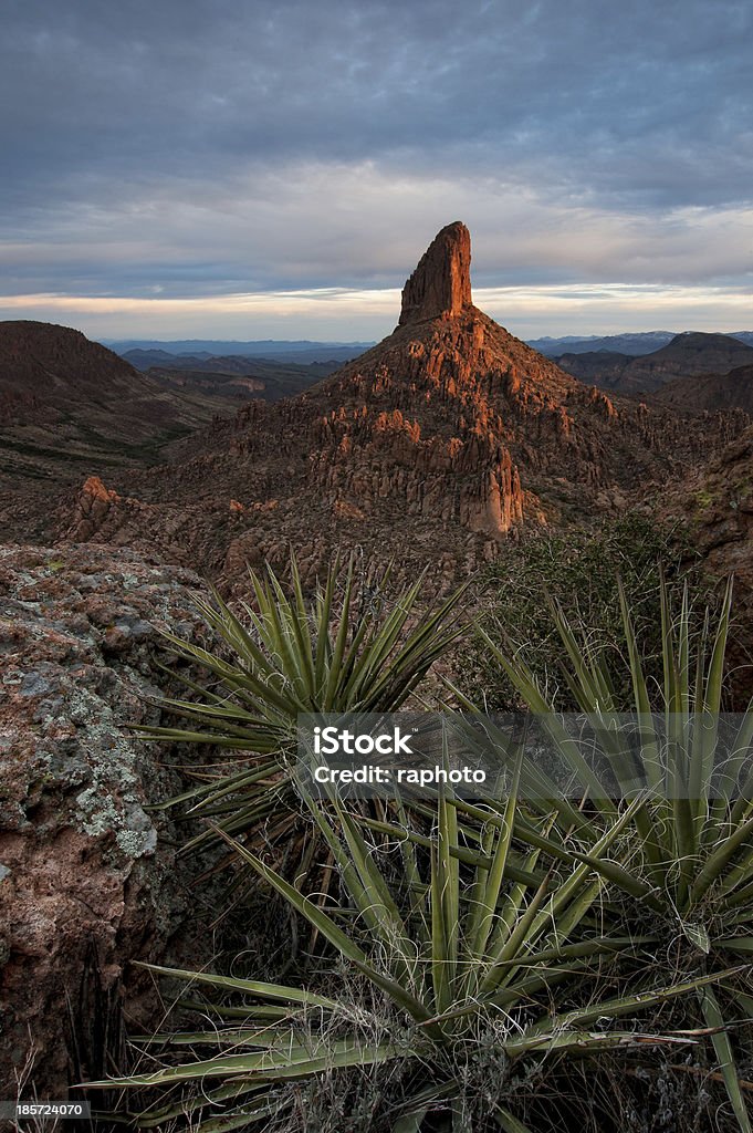 Weaver ago all'alba - Foto stock royalty-free di Arizona