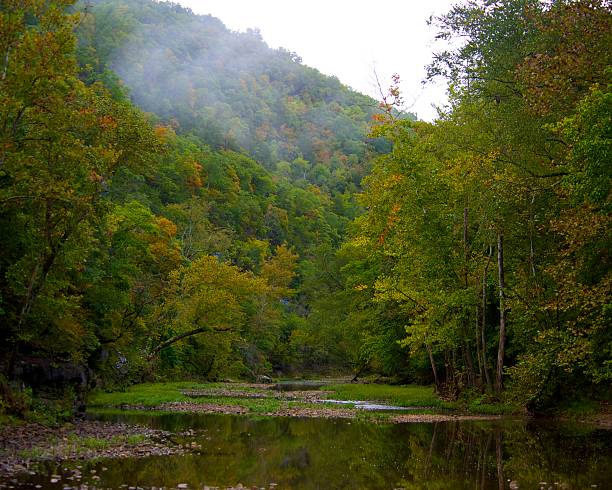 Buffalo River stock photo